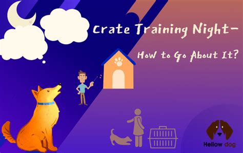 Crate Training Night – How to Go About It? Hellow dog