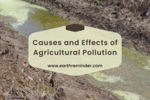 Causes and Effects of Agricultural Pollution | Earth Reminder