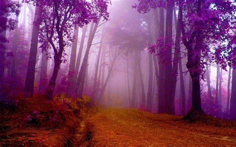 HD Autumn In Purple Wallpaper | Purple wallpaper hd, Purple wallpaper, Summer landscape