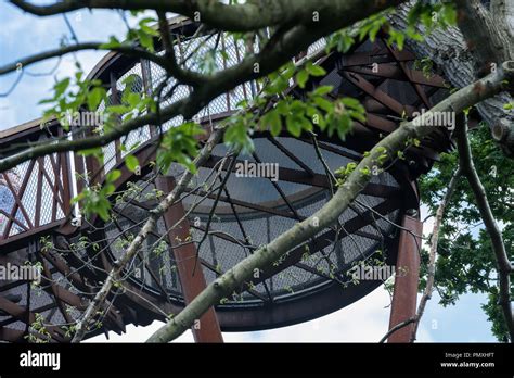 Tree Top Walkway - Kew Gardens Stock Photo - Alamy