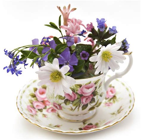 Teacup Flowers | Teacup flowers, Flower tea, Flower arrangements