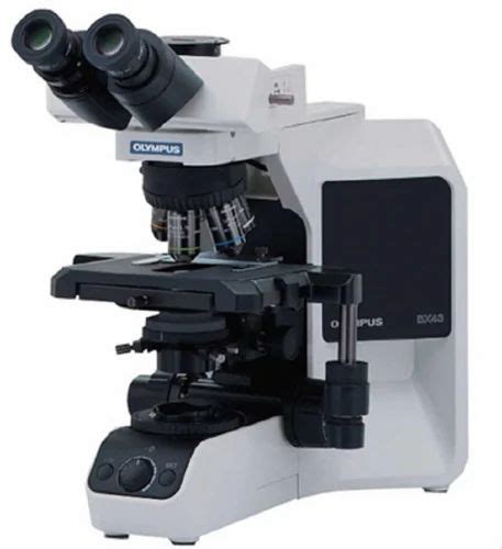 Olympus Bx43 Microscope at best price in Ambala by The Engineering Science Apparatus Workshop ...