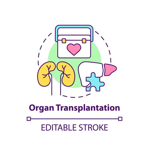 Organ transplantation concept icon 2486822 Vector Art at Vecteezy