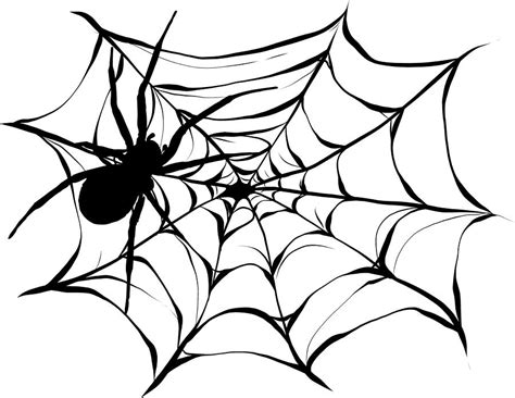 Black spider and torn web. Scary spiderweb of halloween symbol. Isolated on white illustration ...