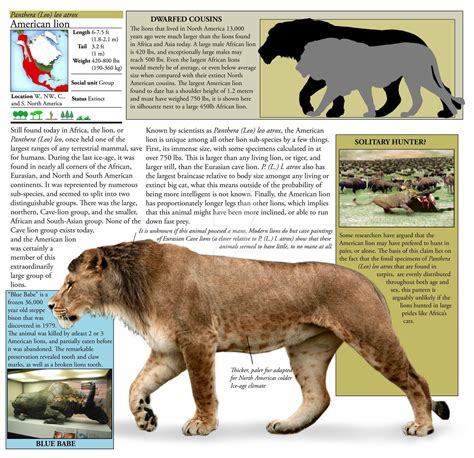 Panthera leo atrox | Extinct animals, American lion, Prehistoric animals