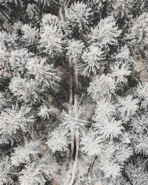 Forest, road, aerial view, trees, snow, winter, HD phone wallpaper | Peakpx