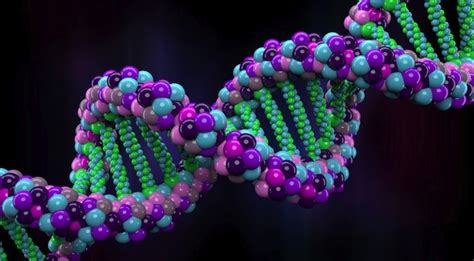 First living thing with 'alien' DNA created in the lab: We are now officially playing God ...