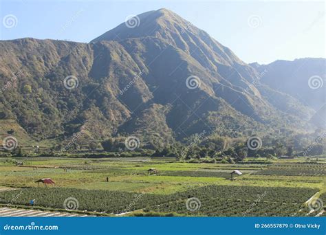 View of the Sembalun Village of Lombok, Mount Rinjani, the Hills of ...