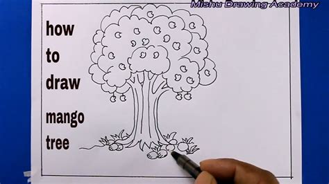 How TO Draw mango tree easy/mango tree drawing - YouTube