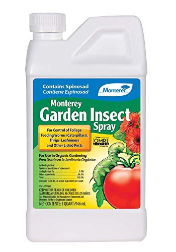 Best Insecticide For Vegetable Garden - Best Insecticide