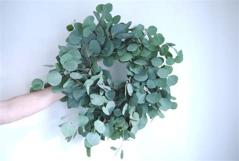 EUCALYPTUS WREATH | Wreaths, Eucalyptus wreath, How to dry basil