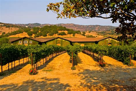 Best Time To Visit Napa Valley, CA 2024 - Weather & 18 Things to Do - Rove.me