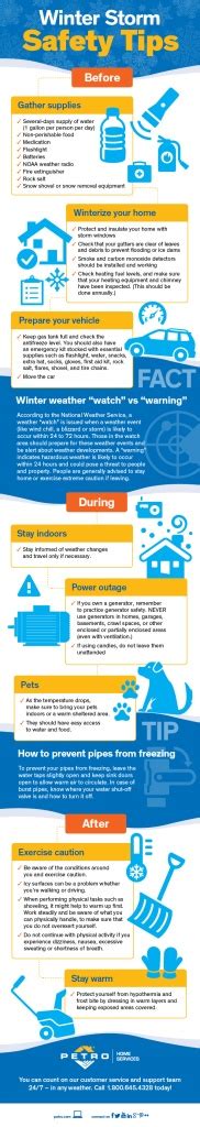 Infographic: Winter Storm Safety Tips