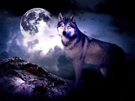 Free Wolf Wallpapers - Wallpaper Cave