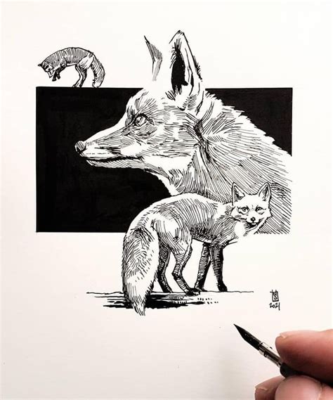 Design in Ink Animal Drawings | Animal illustration art, Ink ...