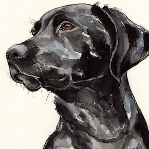 Black Labrador LIMITED EDITION Fine Art Giclée Print, Wall Art, Nursery Art, Dog Print, Home ...