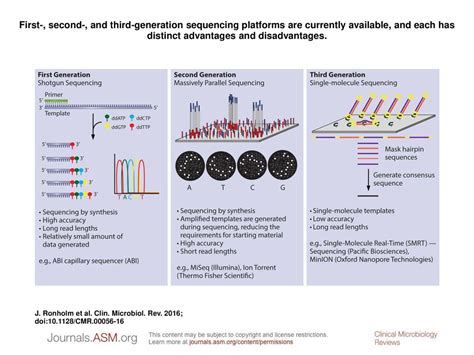 First-, second-, and third-generation sequencing platforms are ...