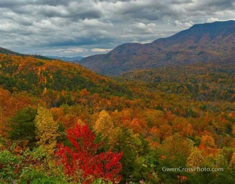 Fall Colors, Smoky Mountains | Beautiful landscapes, Landscape, Smoky ...