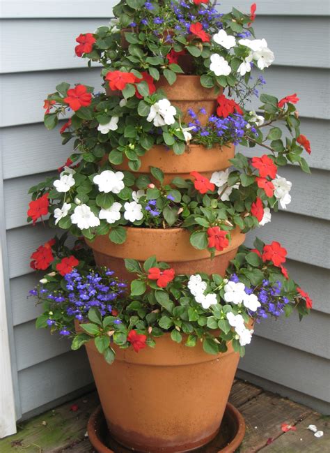 Gardening in the Shade: 9 Annual Flowers for Shady Areas | Flower tower ...