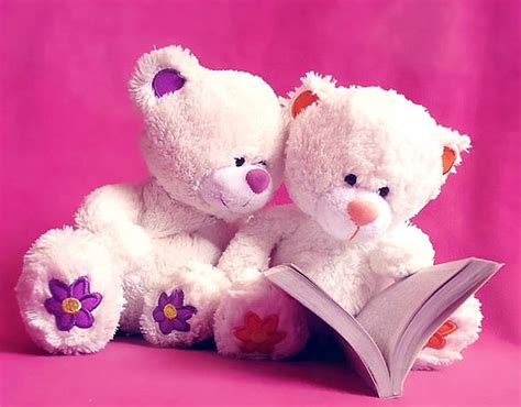 HD wallpaper: bear, cute, doll, pink, teddy bear | Wallpaper Flare