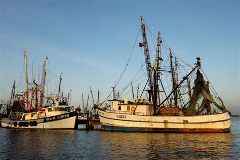 Tampa Bay Shrimp Boats by Carlton Ward Photography | Carlton Ward Photography