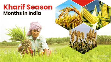 What is Kharif Season for Crops & Kharif Season Importance