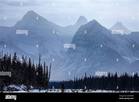 Rocky Mountains, Jasper National Park, Alberta, Canada Stock Photo - Alamy