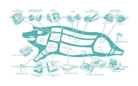 Butcher Chart Of A Pig Stock Illustration - Download Image Now - iStock