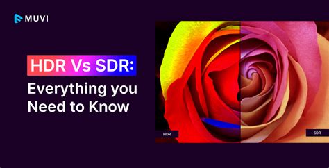 HDR vs SDR: Everything you Need to Know - Muvi One