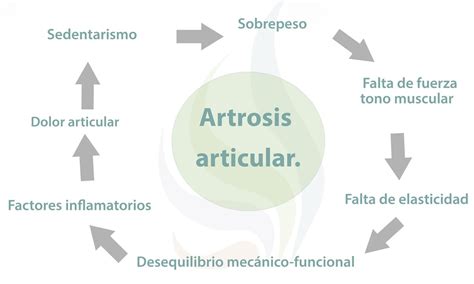 Con otras bandas Animado bolígrafo fisiopatologia de la artrosis de ...