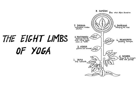 Eight Limbs of Ashtanga Yoga | Keen on Yoga