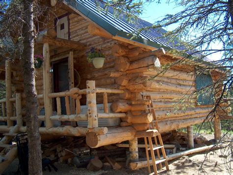 Mark William Wales: Building a Log Cabin in Alaska