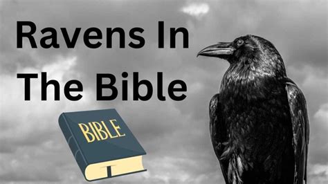 Ravens in the Bible: A Closer Look at their Symbolism and Significance ...