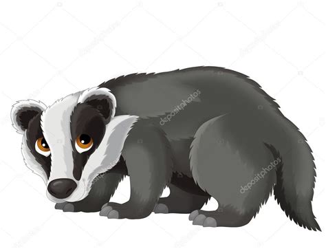 Pictures: cartoon badger | Cartoon badger — Stock Photo © agaes8080 #38201061