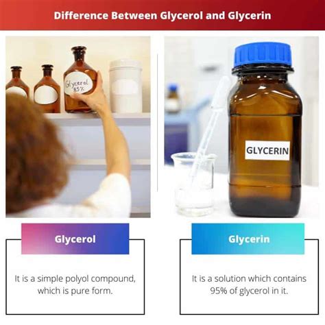 Glycerol vs Glycerin: Difference and Comparison