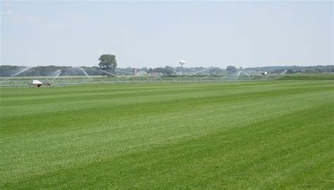 Sod Supplier | Sod Farm | Sod For Sale | Hampshire, IL | Coon Creek Sod Farm Redesign