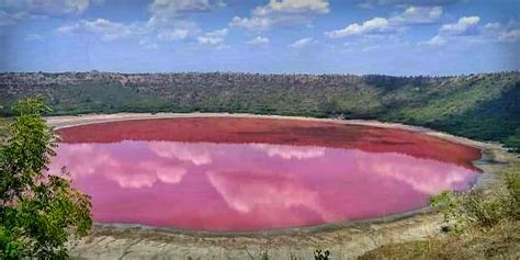 Lonar lake changes its colour again, this time to majestic pink!