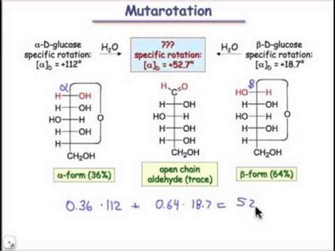 Mutarotation - YouTube