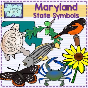 Maryland state symbols clipart by Teacher's Clipart | TpT