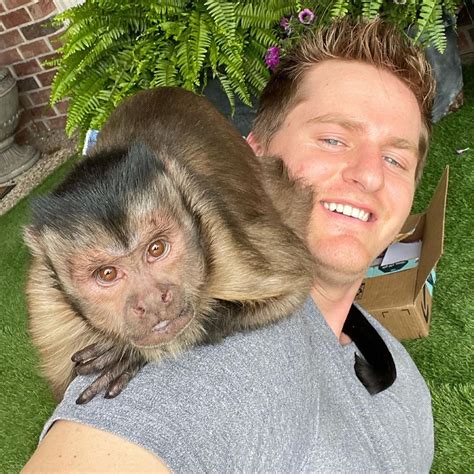 How did TikTok's famous monkey George die? | The US Sun