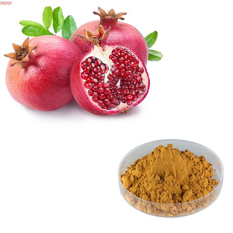 Pomegranate-peel-powder | JHD Ingredients