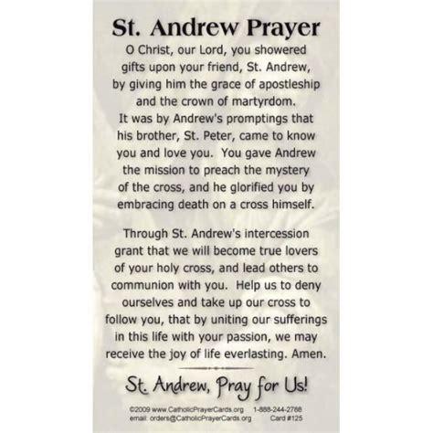 Prayer Cards, Holy Cards : Saint Andrew Prayer Card (50 ...