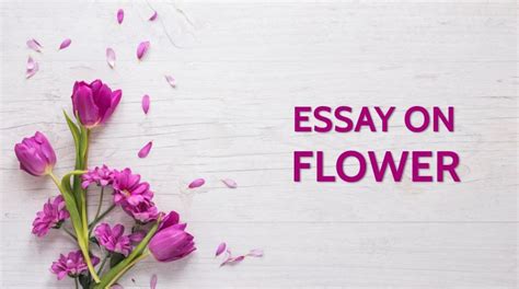 Essay on Flower for Students and Children 900 Words • ReadingJunction