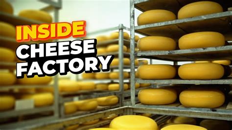 HOW CHEESE IS MADE – World Known Factories - YouTube