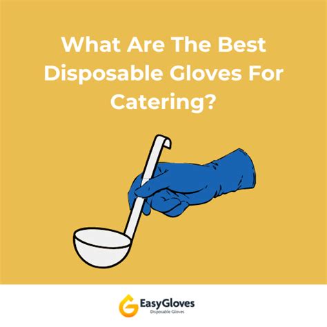 What are the Best Disposable Gloves for Catering? 🧤 | Easygloves