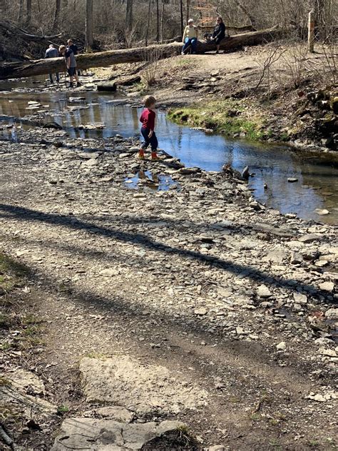 Best Spots for Creeking around Cincinnati - One Little Small Blog