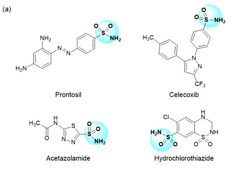 New Reagent for Synthesis of Primary Sulfonamides: tBuONSO | Tokyo ...