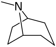 Tropane alkaloid - Wikipedia in 2021 | Wikipedia, Chemistry