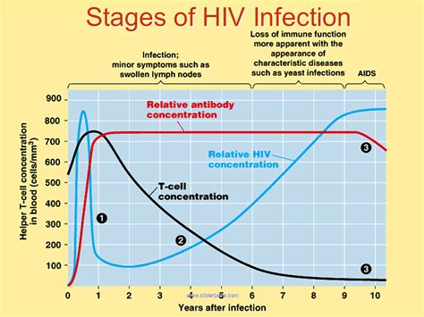 Death and AIDS