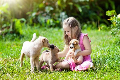 Kids in a Garden with Blooming Cherry Trees Stock Image - Image of girl ...